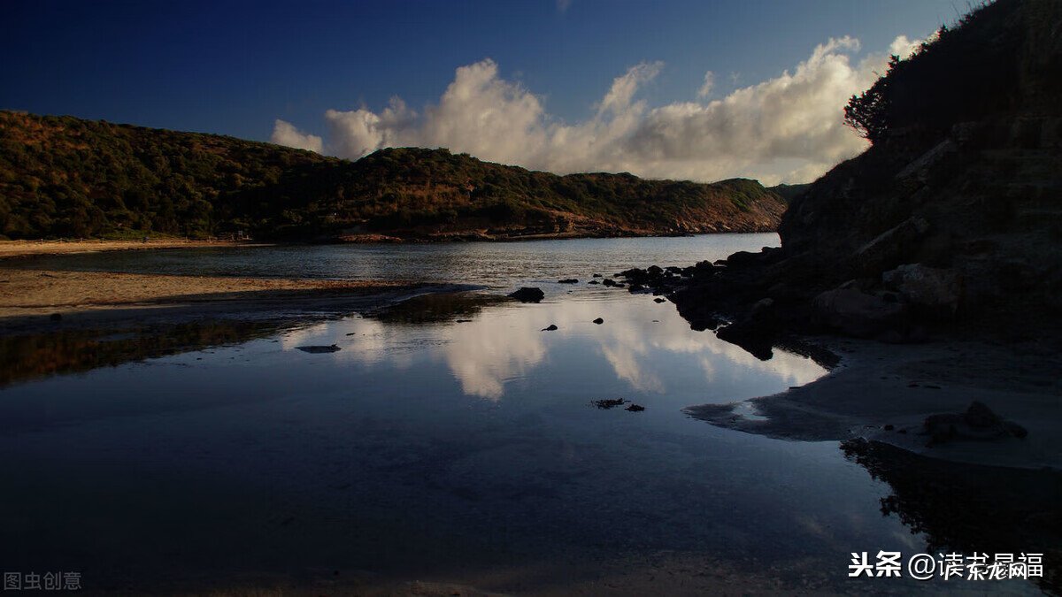 荀彧和荀攸是兄弟吗 荀彧荀攸荀谌