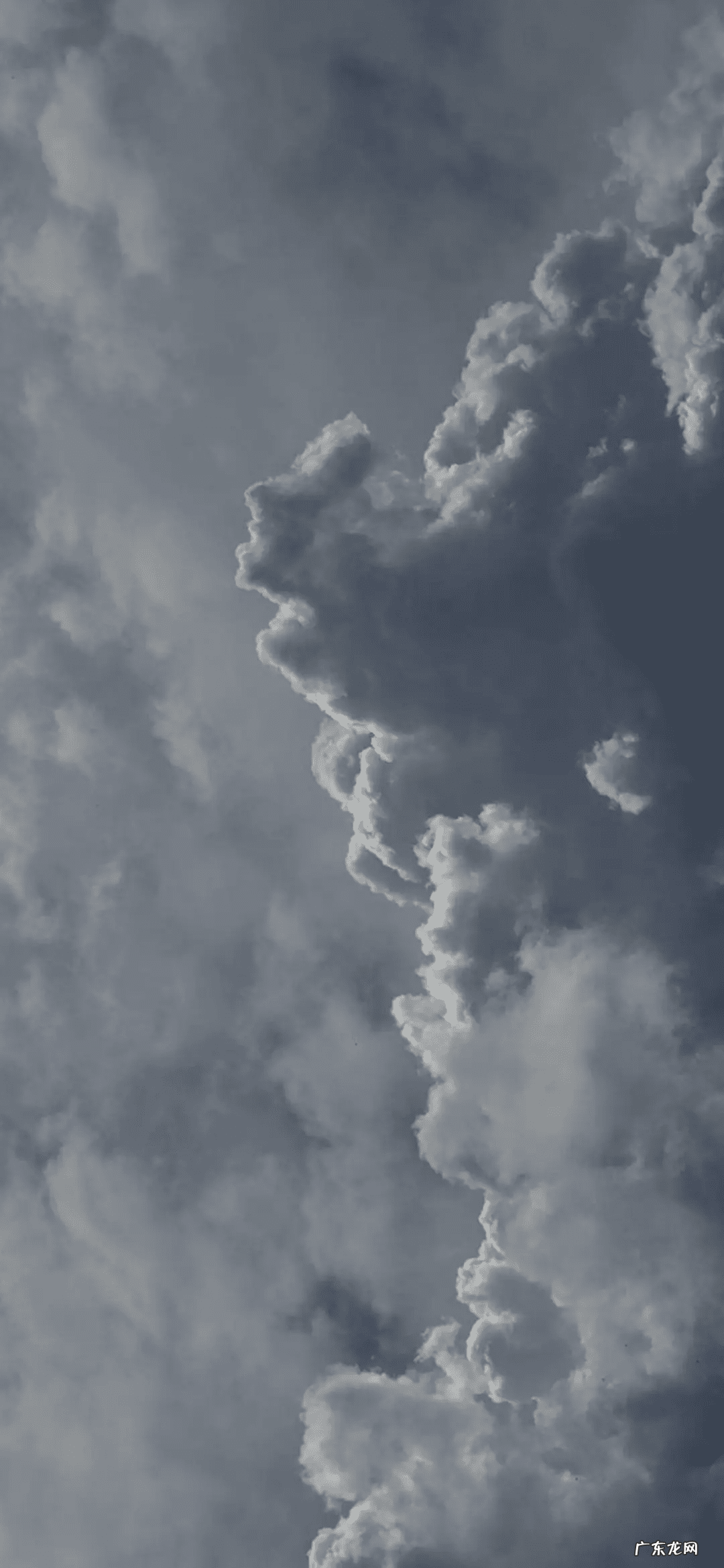 微信壁纸图片 手机微信平面壁纸