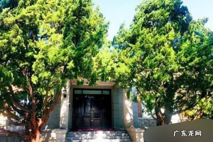 家门口两棵树风水