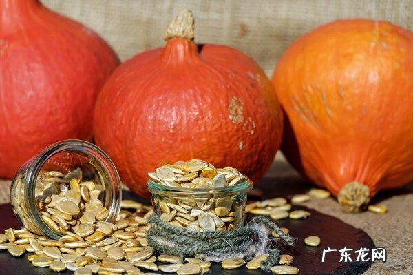 南瓜有什么功效 南瓜的作用与功效