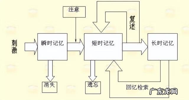 提高记忆力的好方法 快速记忆方法的小窍门