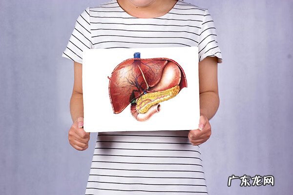 肝病的七个征兆 肝脏不好有什么表现症状有哪些男人