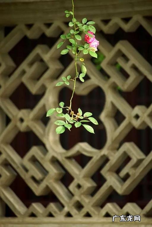 观沧海原文及翻译和中心思想 观沧海曹操写作背景作者简介,翻译