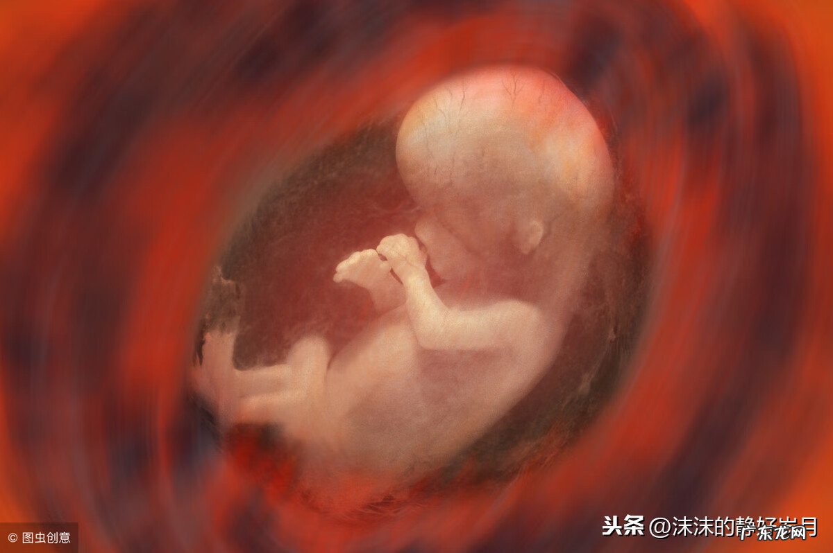 妊娠期 妊娠生理