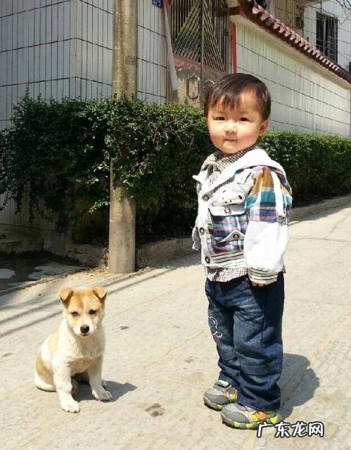 和儿子一起成长感悟 便是最好的亲子时光英文