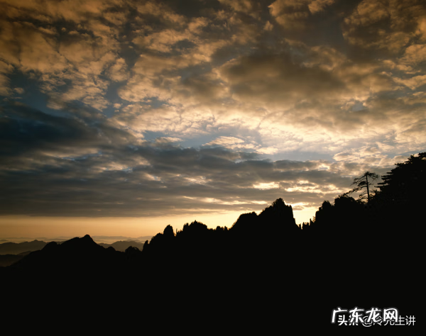 朱雀风水学含义是什么 风水里朱雀代表什么