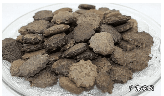 小地龙 藏地龙有什么作用