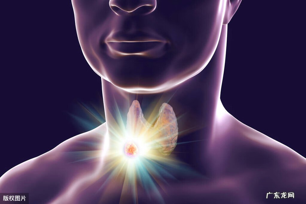 小地龙 藏地龙有什么作用