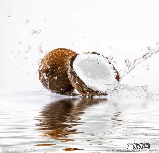 椰子功效营养价值 椰子的营养价值有多少