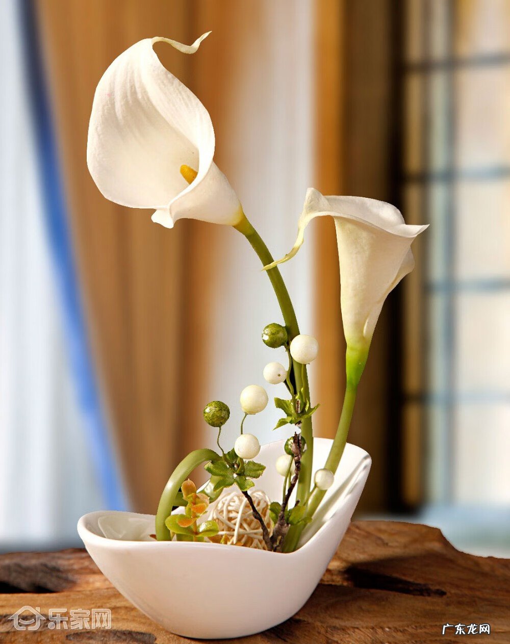 农村爬山虎花图片大全 爬山虎在风水中的作用