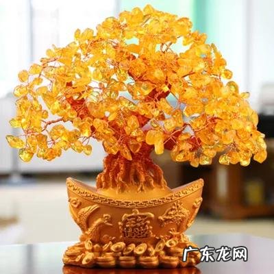 有太阳的大树风景图片 微信头像背靠大树风水好吗?