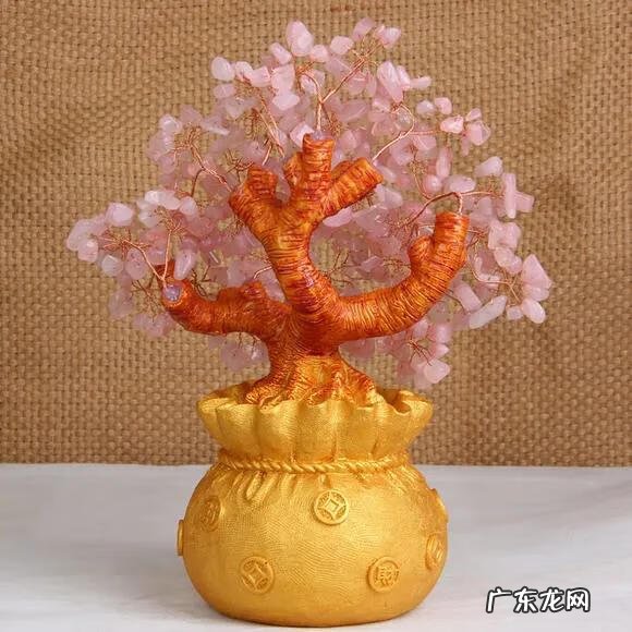 有太阳的大树风景图片 微信头像背靠大树风水好吗?