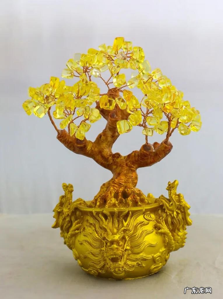 有太阳的大树风景图片 微信头像背靠大树风水好吗?