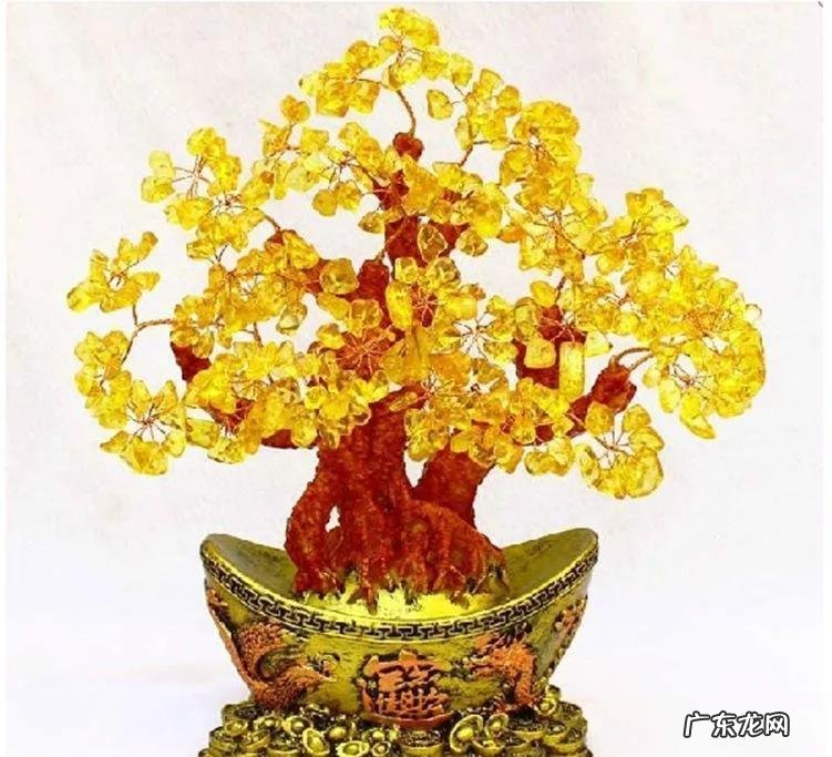 有太阳的大树风景图片 微信头像背靠大树风水好吗?