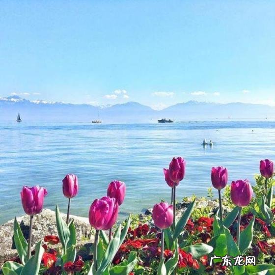 钓鱼的快乐心情短语 简单快乐的心态句子发朋友圈