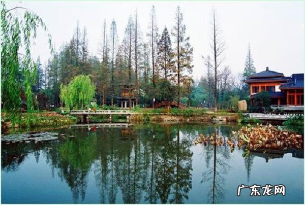 河南看风水大师 河南哪里有好的风水大师