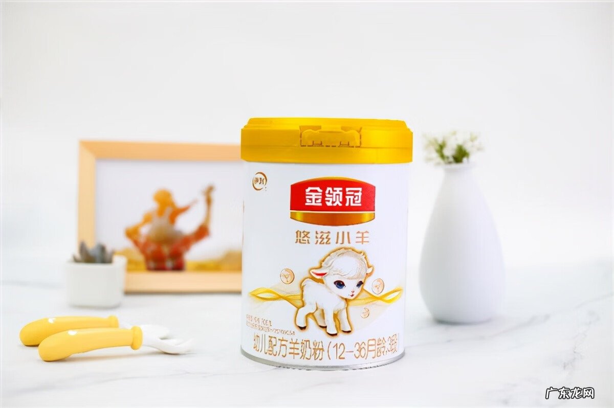 目前比较好的羊奶粉有哪些 哪种羊奶粉比较好