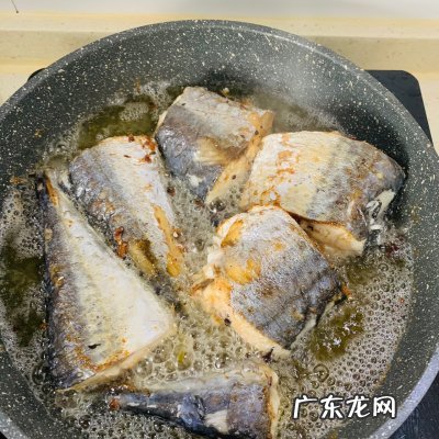红烧鲐鲅鱼的做法 红烧鲅鱼怎么做啊