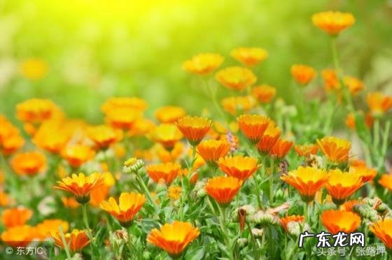 各种颜色代表的含义、意义和象征性 你知道不同颜色的心理学意义吗英文