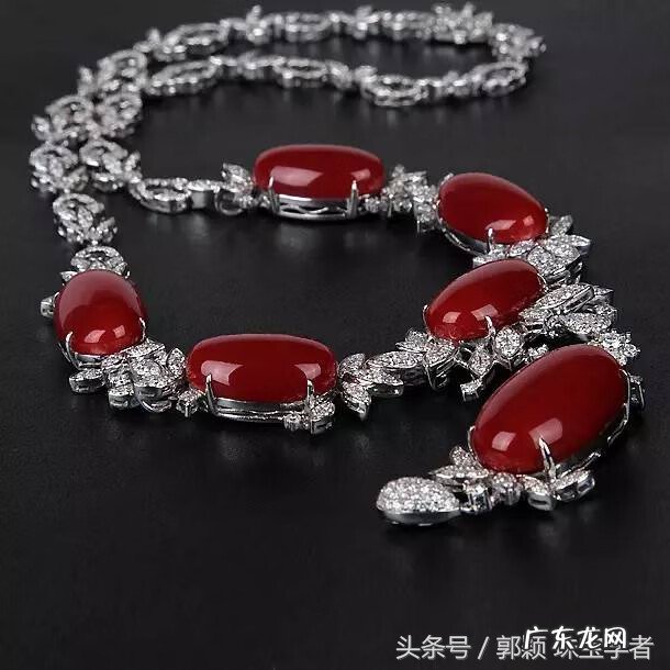 贝壳在风水里代表什么 风水贝壳是什么意思