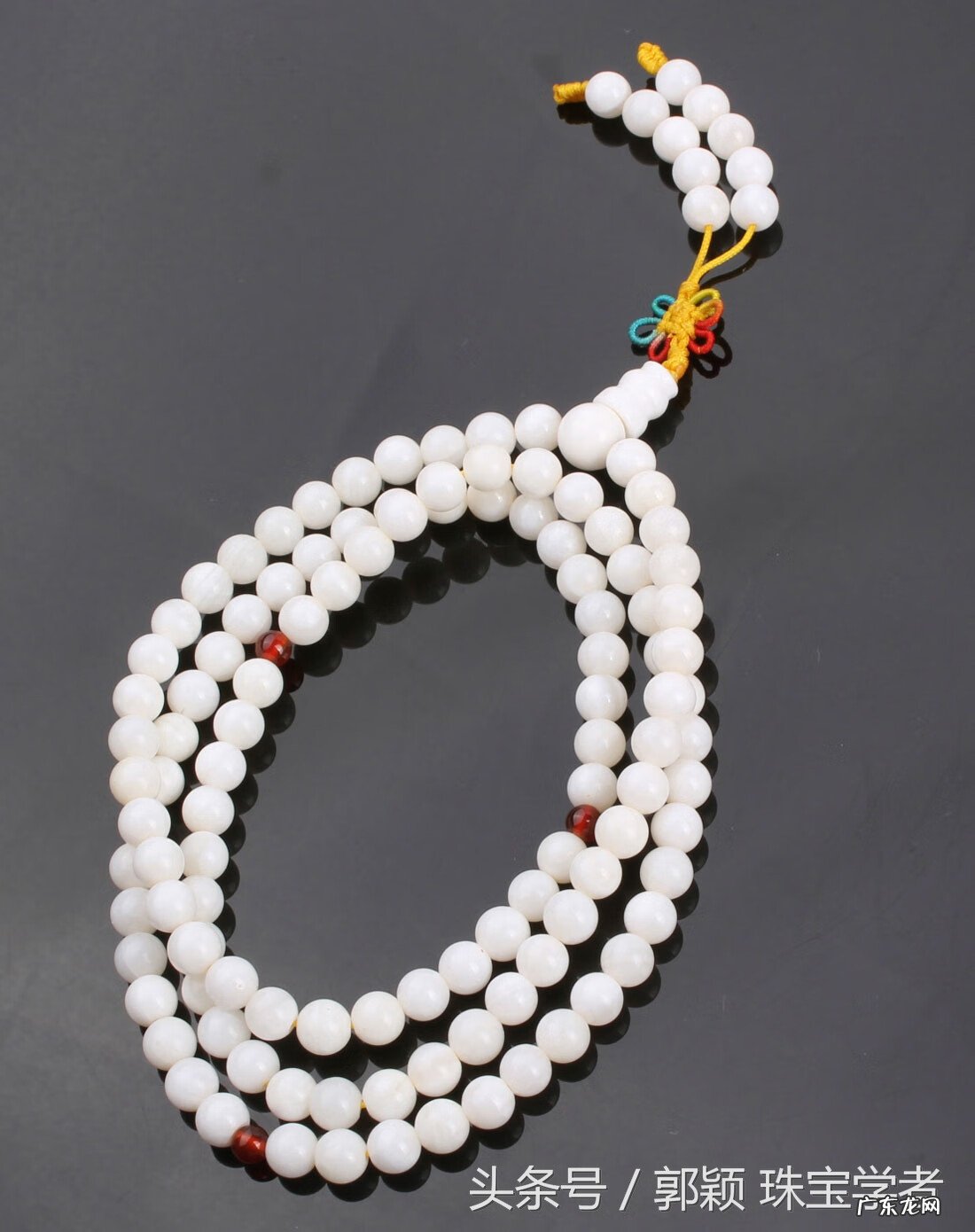 贝壳在风水里代表什么 风水贝壳是什么意思