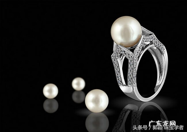 贝壳在风水里代表什么 风水贝壳是什么意思