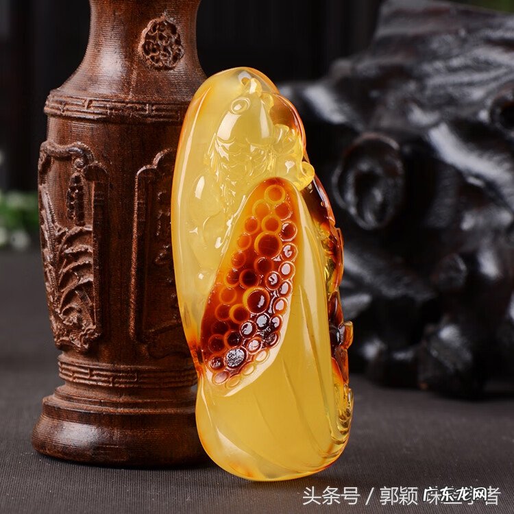 贝壳在风水里代表什么 风水贝壳是什么意思