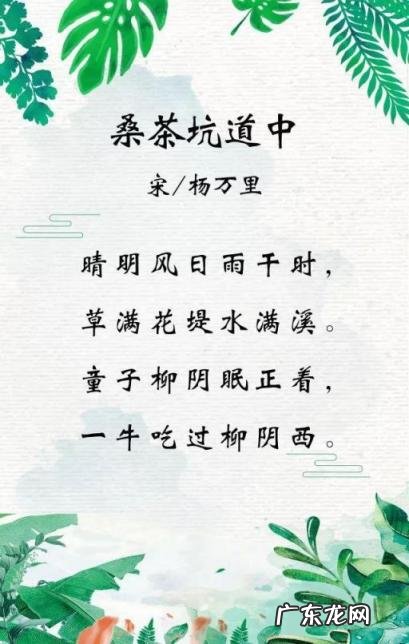 关于杨万里(诗人简介及主要作品 诗人杨万里的作品有哪些)