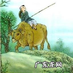 关于杨万里(诗人简介及主要作品 诗人杨万里的作品有哪些)