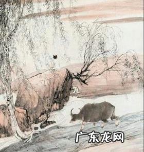 关于杨万里(诗人简介及主要作品 诗人杨万里的作品有哪些)