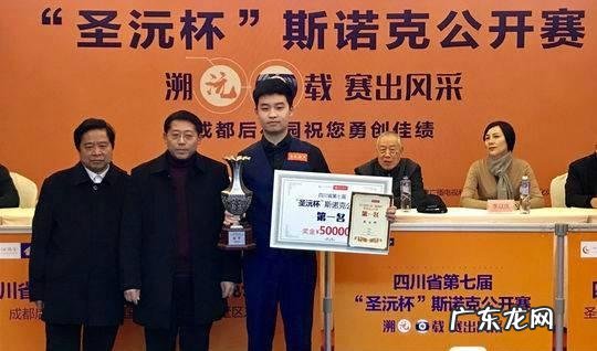 3D国际斯诺克 3D斯诺克