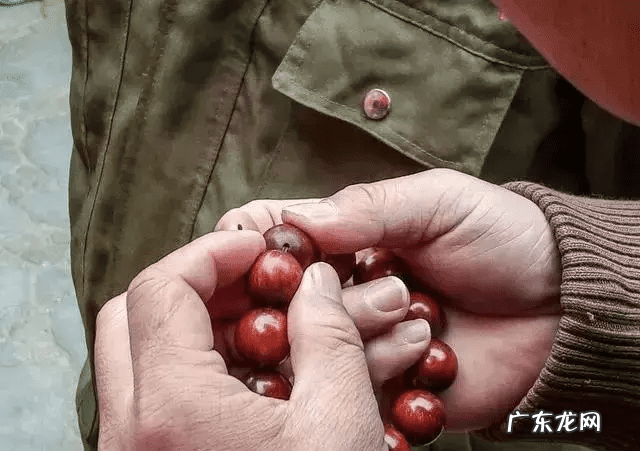 最省心的文玩手串 文玩手串能改变风水吗