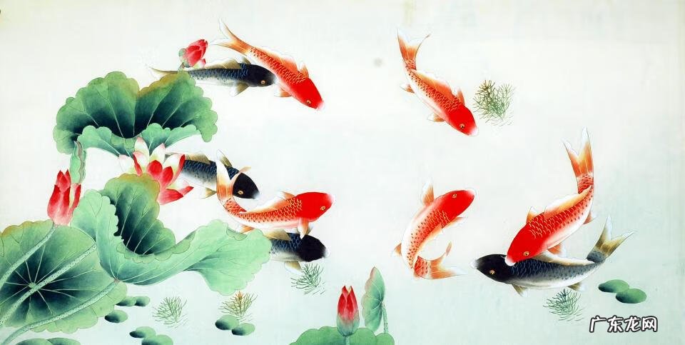 车冒青烟怎么回事 冒青烟有什么风水