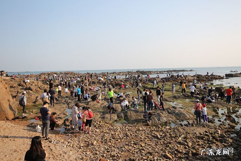 圣境传说 圣境传说礼包领取