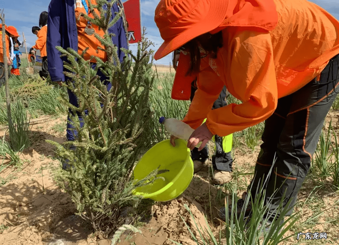 曲炜的水平如何 曲炜风水特训班第三十讲