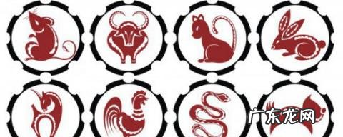 十二生肖的拼音读法怎么读，十二生肖的拼音读法视频