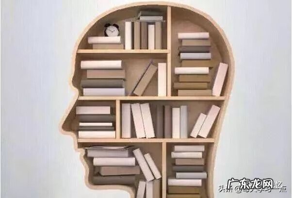 记忆宫殿app哪个比较好 记忆宫殿免费下载