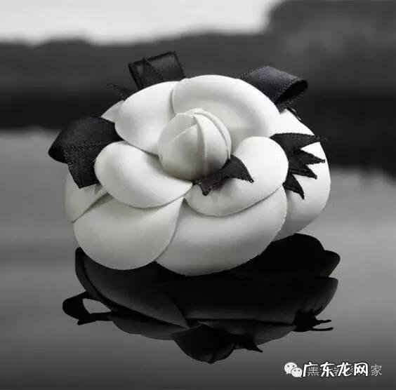 香奈儿的英文怎么说 香奈儿英文全称