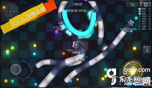 虫虫大作战改版 虫虫大作战