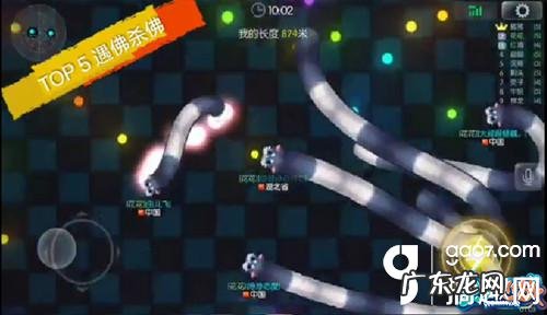 虫虫大作战改版 虫虫大作战