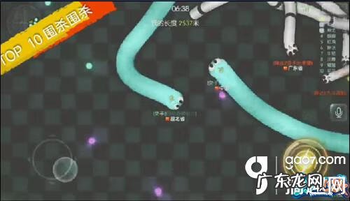 虫虫大作战改版 虫虫大作战