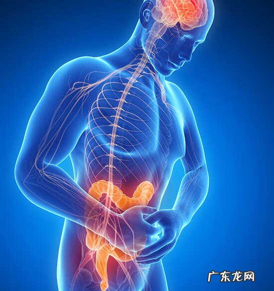 蒙脱石散主要功效 蒙脱石散的功效与作用点