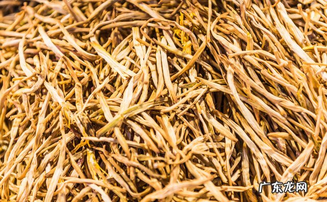 黄花菜的营养价值和药用价值 黄花菜的药用价值是什么