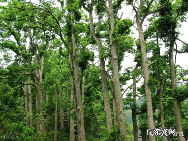 风水中的出水口怎样确认 风水标准的出水口应该怎样确定?