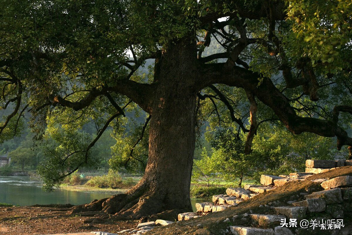 风水中的出水口怎样确认 风水标准的出水口应该怎样确定?