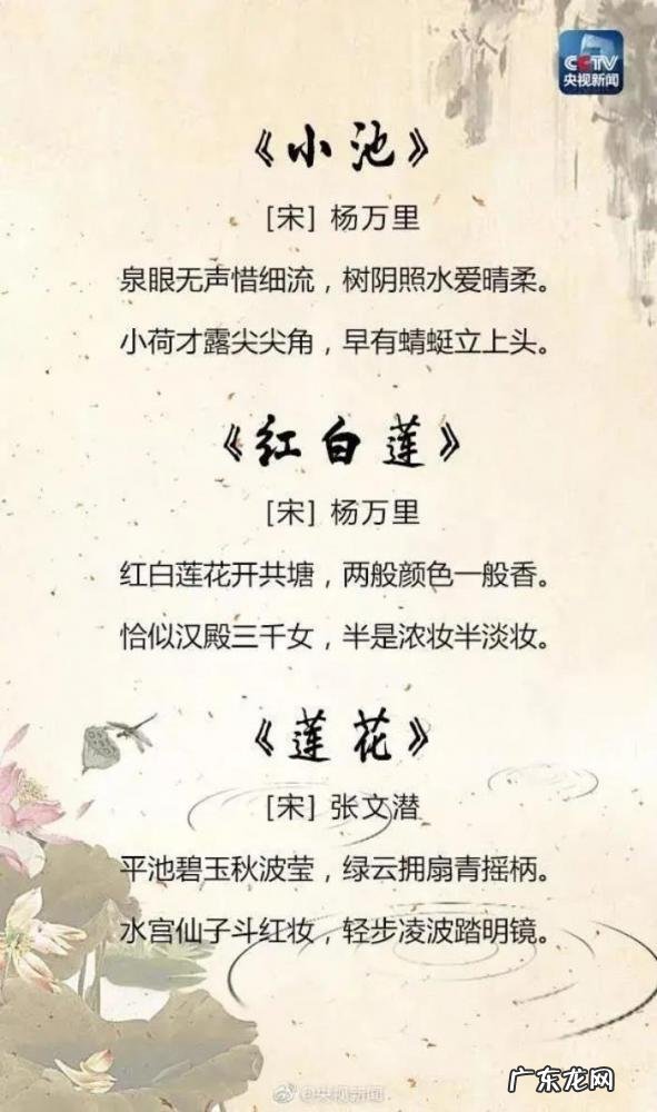 有关夏天的古诗词 25首关于夏天的经典诗词大全