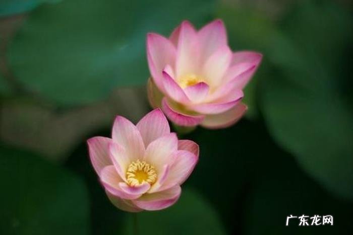 简单生活短句八字 简单生活心态的短句发朋友圈