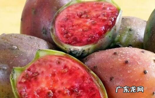 仙人掌果有什么用 仙人掌的果实有哪些作用