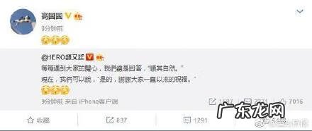 高圆圆结婚 高圆圆怀孕了没