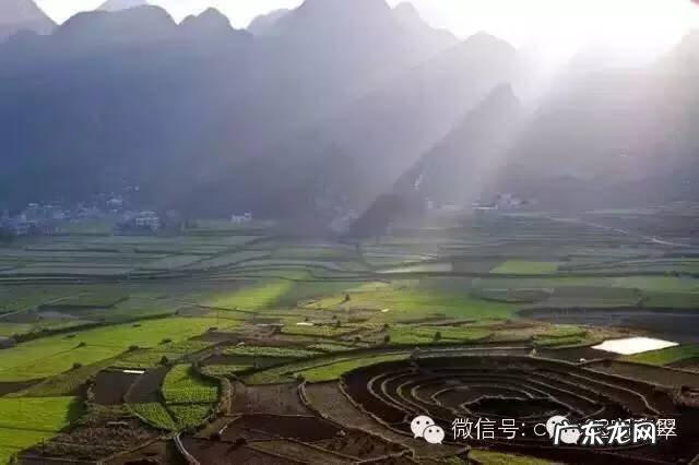 家族风水 野马家族风水